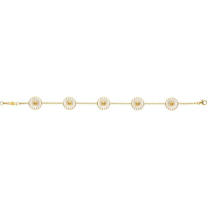 Daisy 11 mm. Gold Plated Bracelet