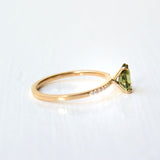 Paliha Kola 18K Guld Ring m. Safir & Diamanter