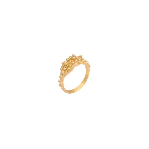 Nar 18K Gold Ring