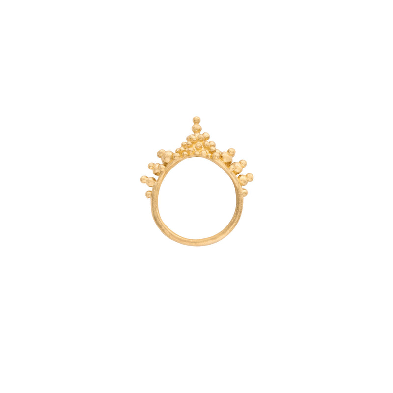 Ródi 18K Guld Ring