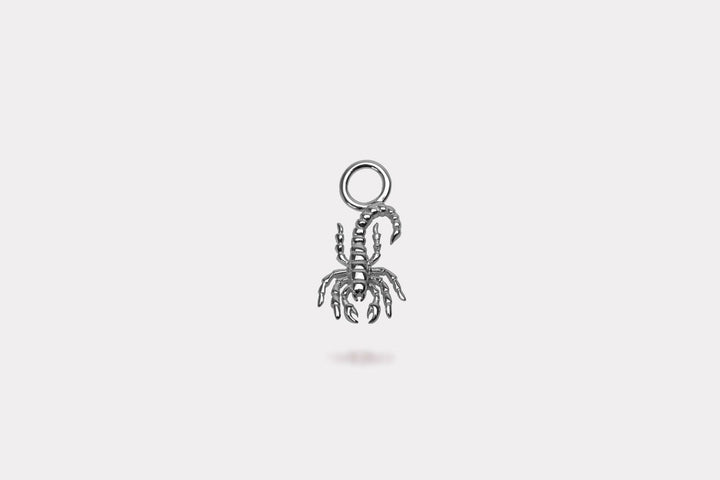 IX Scorpion Silver Pendant