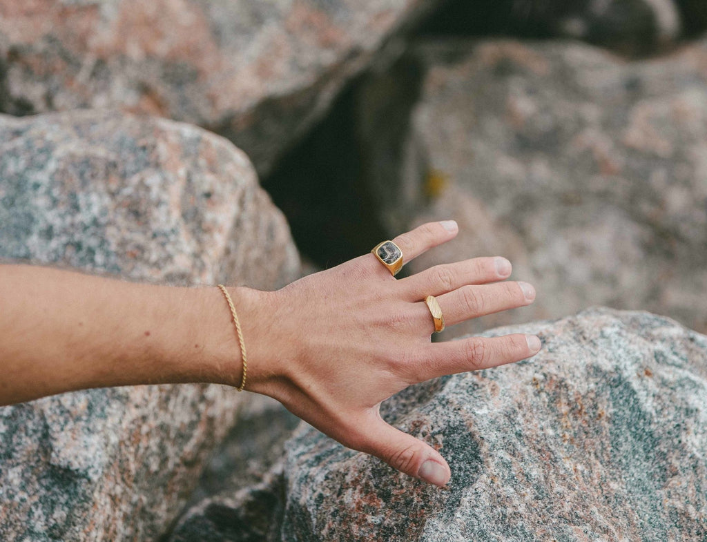 IX Cushion Turtle Agate Gold Plated Signet Ring