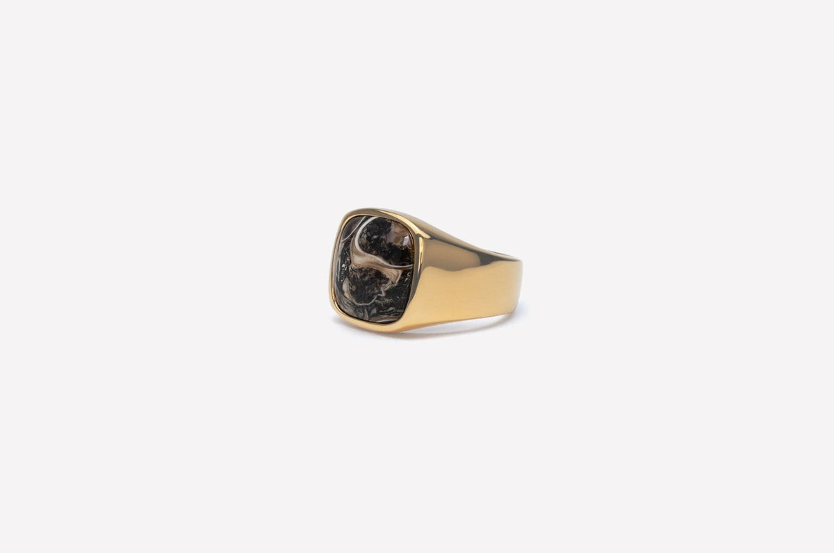 IX Cushion Turtle Agate Gold Plated Signet Ring