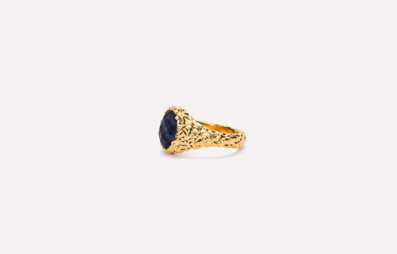 IX Crunchy Ornate Blue Sodalite Signet Ring Gold Plated
