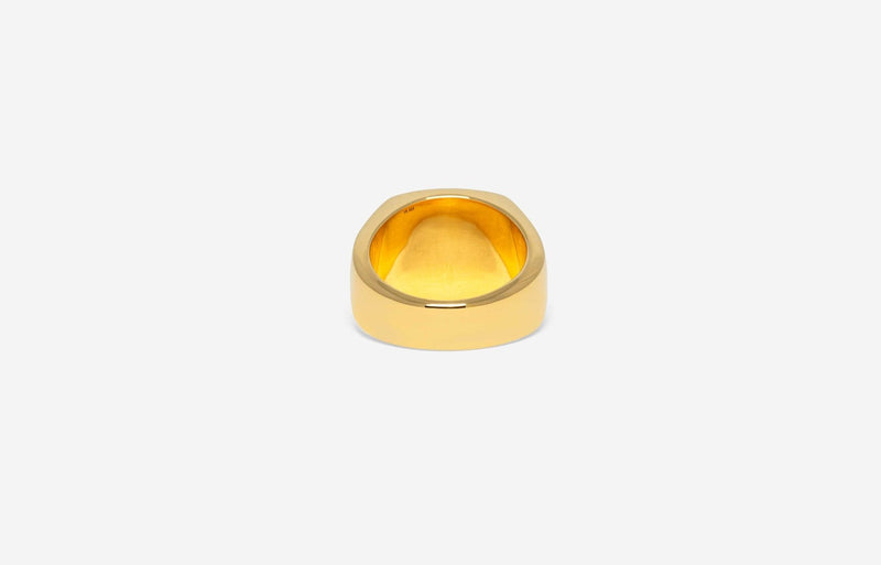 IX Family Crest Signet Ring Gold Plated